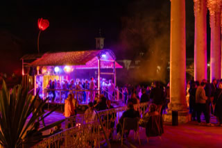 Unsere Roseninsel taucht seine Roseninsel immer wieder im Meer des Alltäglichen auf und schafft darin einen beflügelnden Ort, wie hier im Schloss Pillnitz.