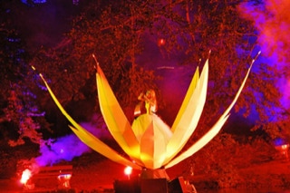 Seerose, Singende Säge, Schwimmbühne, Dresdner Schlössernacht